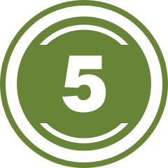 Línea 5